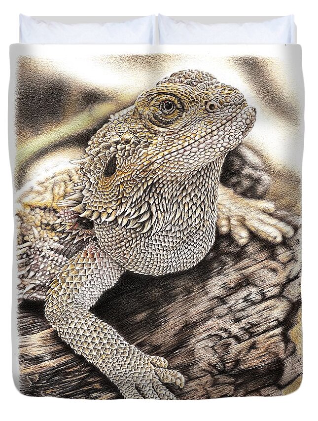 Bearded Dragon Duvet Cover featuring the drawing Bearded Dragon by Casey 'Remrov' Vormer