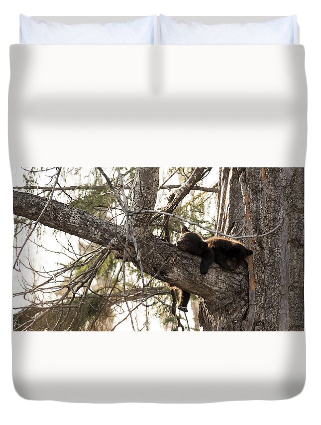 Anchorage Duvet Cover featuring the photograph Bearly Hanging In There by Ian Johnson