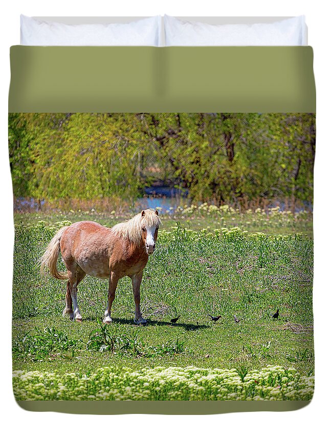 Horse Duvet Cover featuring the photograph Beautiful Blond Horse and Four Little Birdies by James BO Insogna
