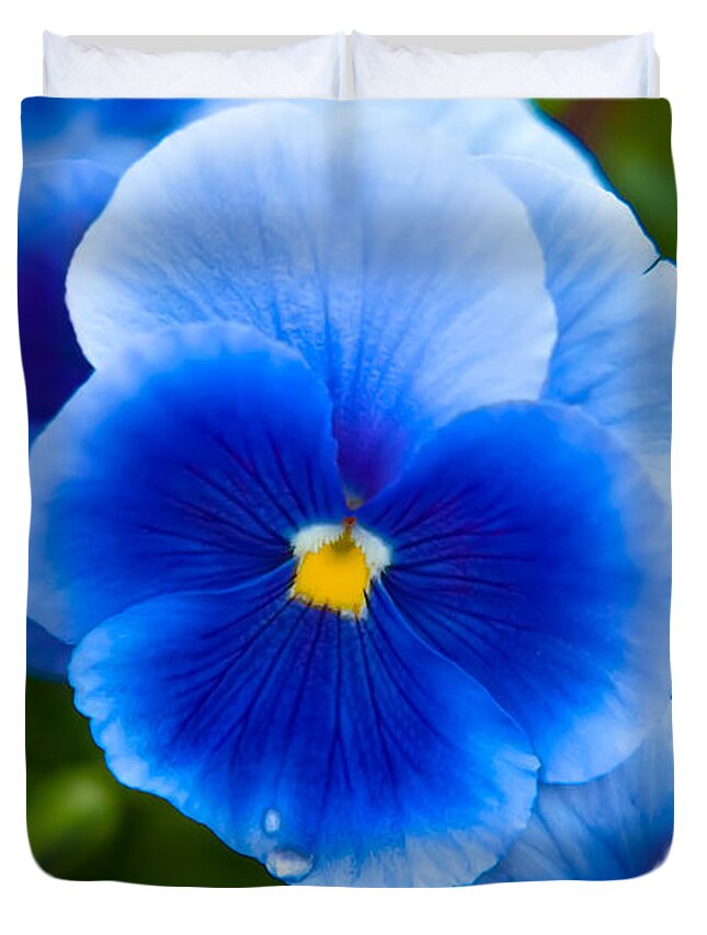 Spring Flowers Duvet Cover featuring the photograph Beautiful Blues by Az Jackson