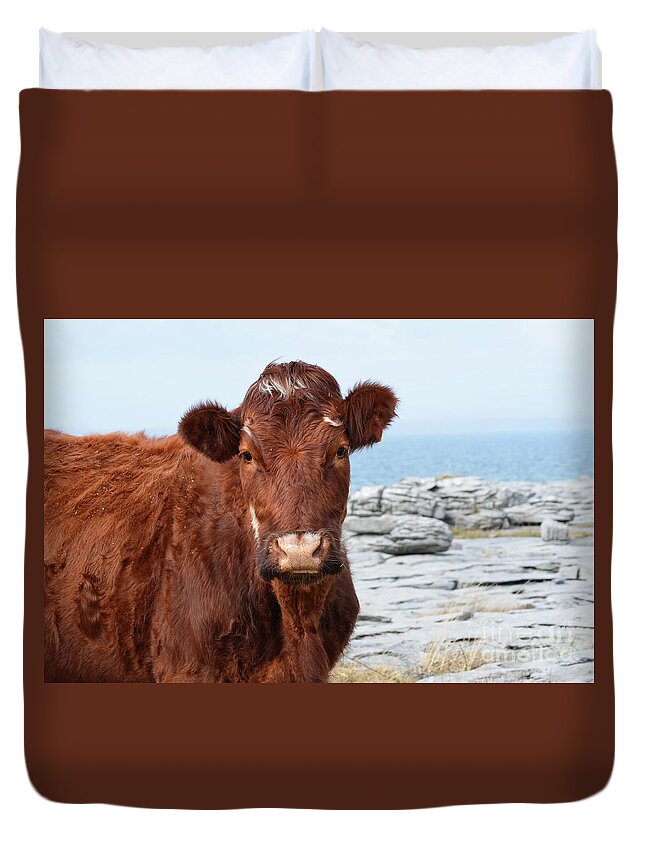 Cow Duvet Cover featuring the photograph Beautiful Brown Cow on the Burren in Ireland by DejaVu Designs
