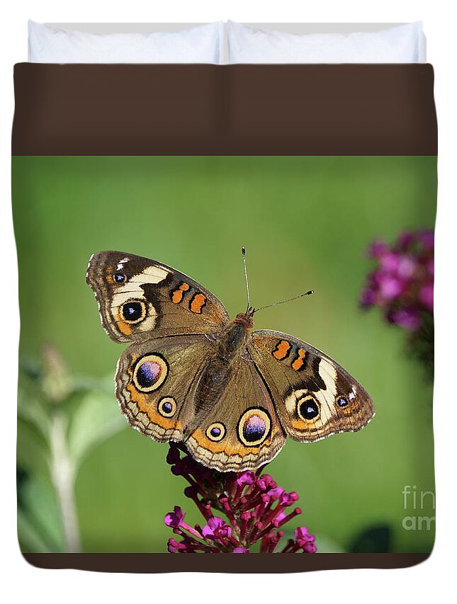 Butterfly Duvet Cover featuring the photograph Beautiful Buckeye Butterfly by Robert E Alter Reflections of Infinity