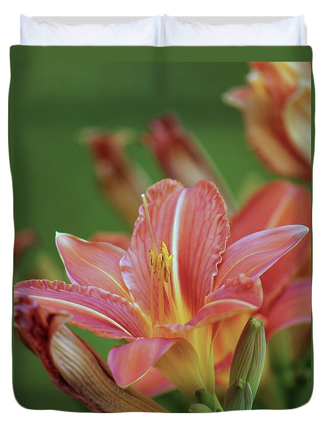 Lily Duvet Cover featuring the photograph Beautiful Day Lilies by Jeanette C Landstrom