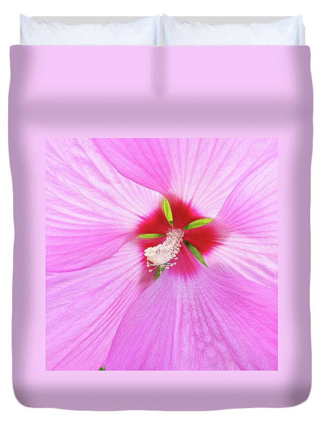 Flower Duvet Cover featuring the photograph Beautiful delicate pink hibiscus flower by GoodMood Art
