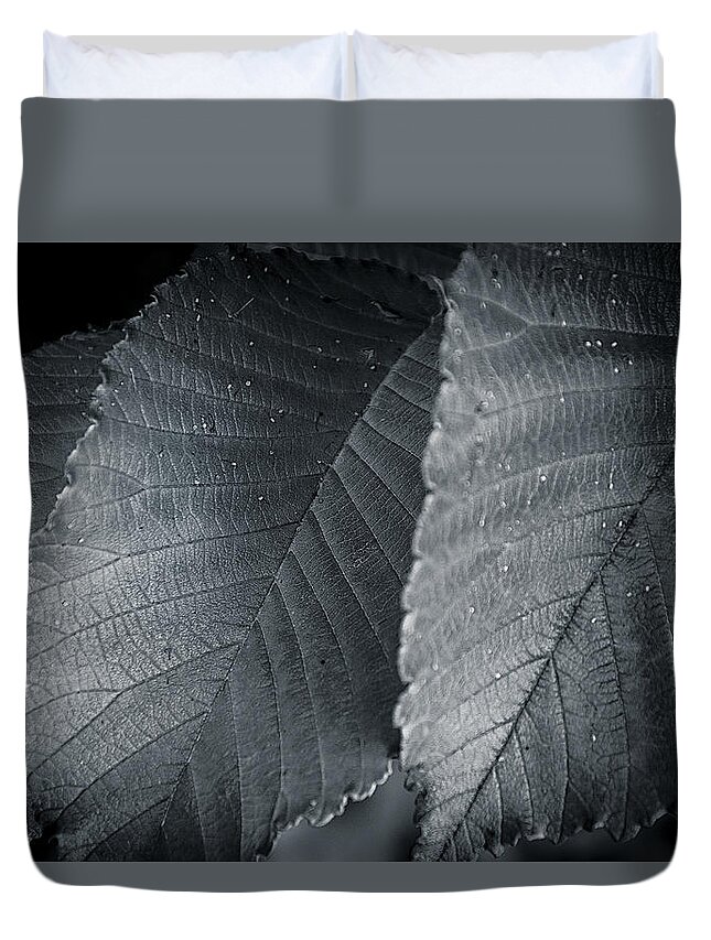 Detail Duvet Cover featuring the photograph Beautiful Detail by Andy Smetzer