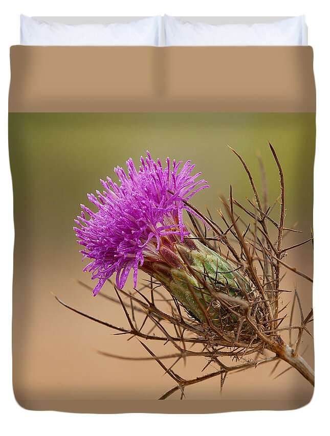 Flower Duvet Cover featuring the photograph Beautiful Distaff-thistle by Yuri Peress
