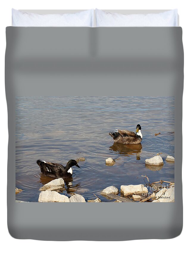 Seascape Duvet Cover featuring the photograph Beautiful Ducks by Todd Blanchard
