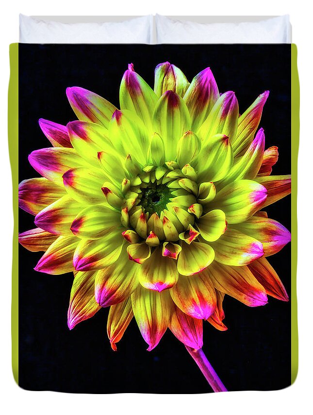 Color Duvet Cover featuring the photograph Beautiful Graphic Dahlia by Garry Gay