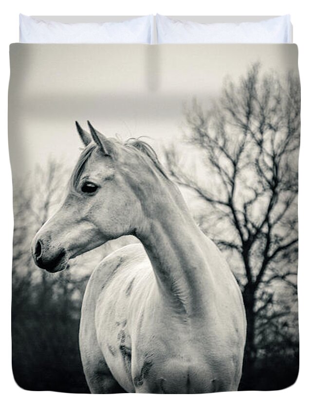 Horse Duvet Cover featuring the photograph Beautiful Lonely White Horse III by Dimitar Hristov