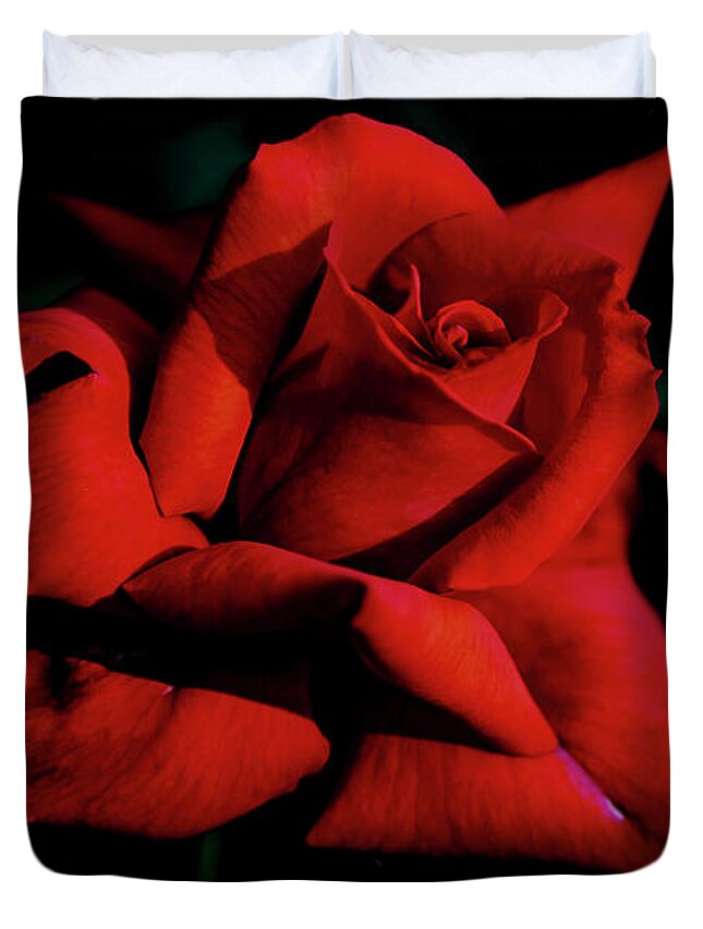 Rose Duvet Cover featuring the digital art Beautiful Long Stemmer by Ed Stines
