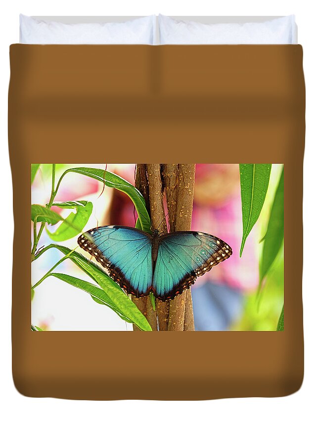 Blue Morpho Butterfly Duvet Cover featuring the photograph Beautiful Blue Morpho by Ronda Ryan