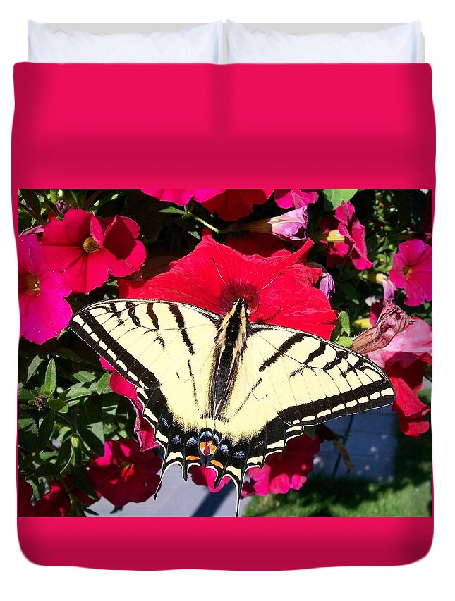 Papilio Duvet Cover featuring the photograph Beautiful Swallowtail by Sharon Duguay