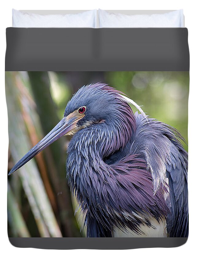 Wildlife Duvet Cover featuring the photograph Beautiful Tricolored Heron by Kenneth Albin