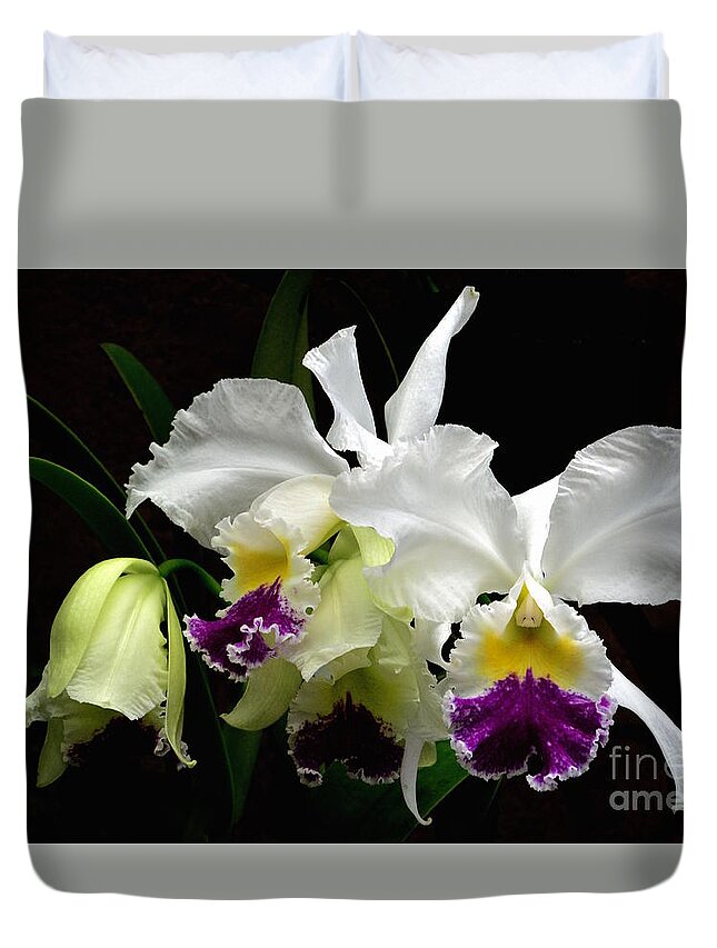 Anniversaries Duvet Cover featuring the photograph Beautiful White Orchids by Jeannie Rhode
