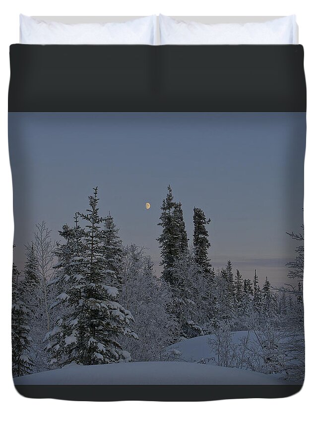 Snow Duvet Cover featuring the photograph Beautiful Winter Evening by Brian Kamprath
