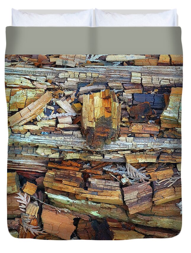 Woods Duvet Cover featuring the photograph Beauty in Decay Abstract by David T Wilkinson
