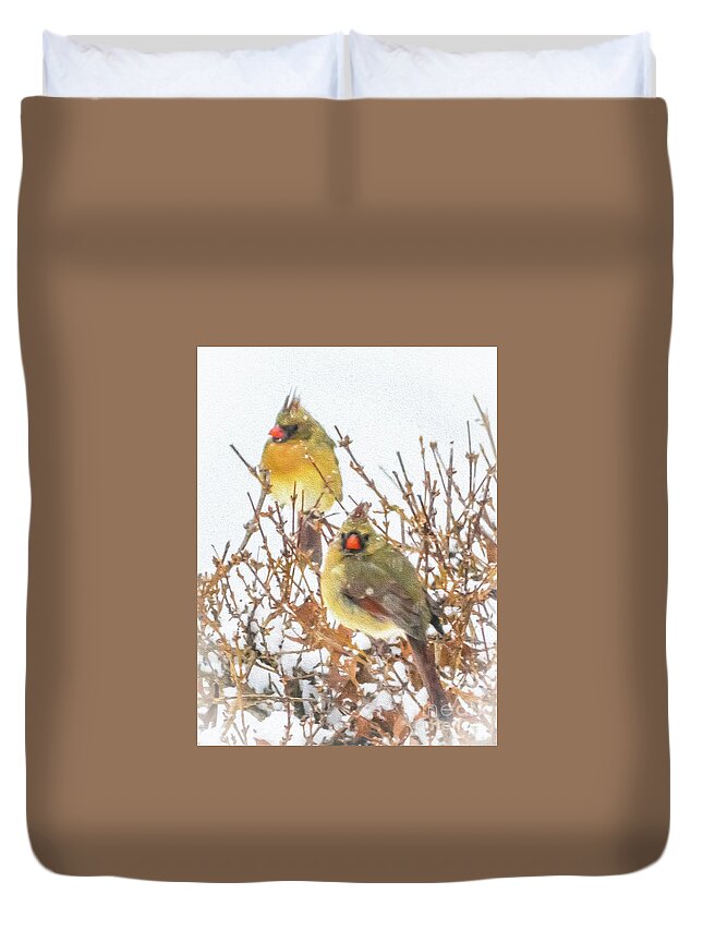Cardinal Duvet Cover featuring the photograph Beauty in the Storm by Lisa Kilby