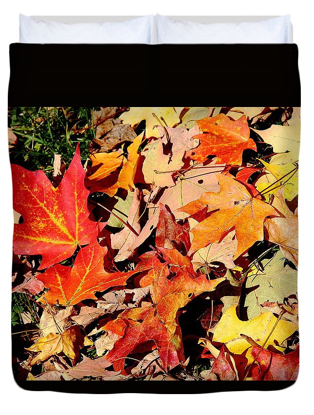 Leaves Duvet Cover featuring the photograph Beauty of Fallen Leaves by Allen Nice-Webb