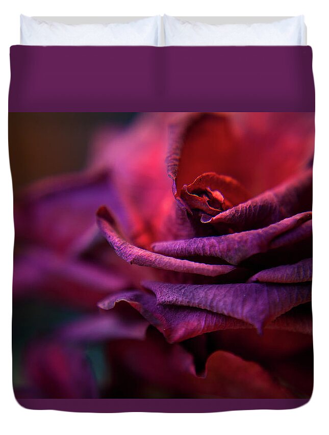 Red Duvet Cover featuring the photograph Beauty's Rose by Theresa Tahara