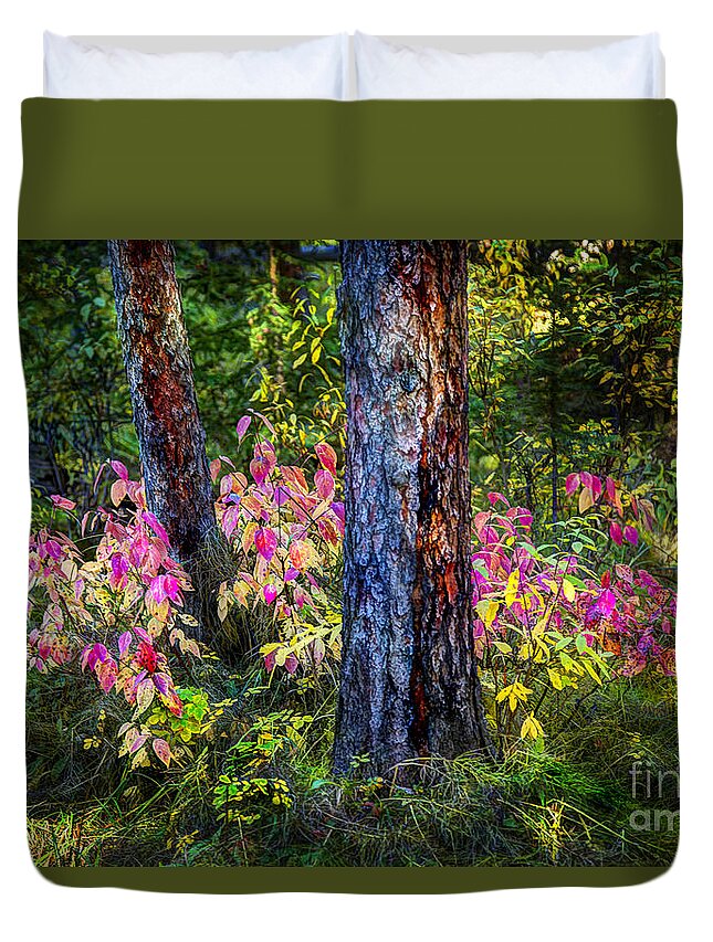 Beartooth Duvet Cover featuring the photograph Beaver Pond Grove by Craig J Satterlee