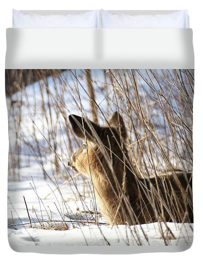 Doe Duvet Cover featuring the photograph Bedded Fawn 2 by Brook Burling