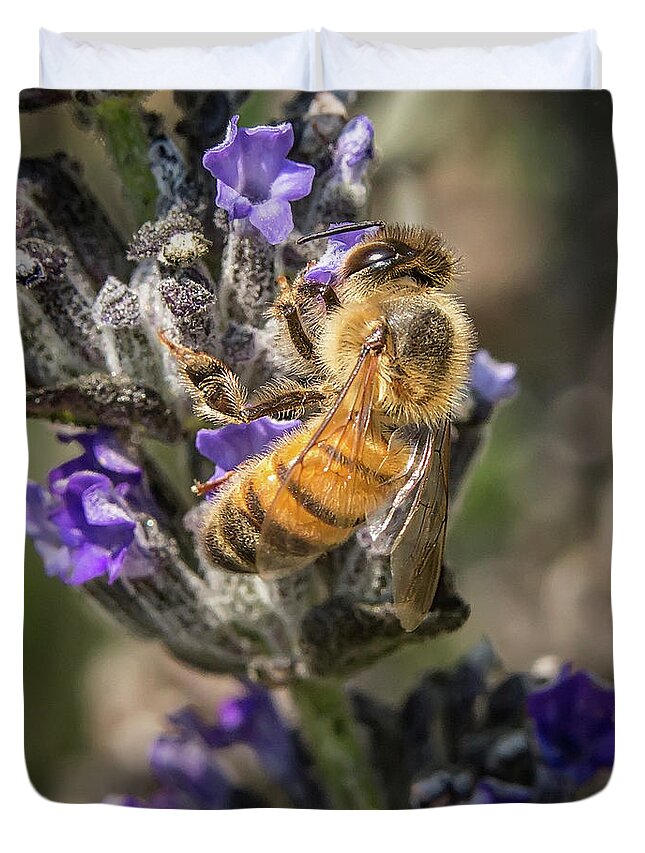 Bee Duvet Cover featuring the photograph Bee 4 by Endre Balogh