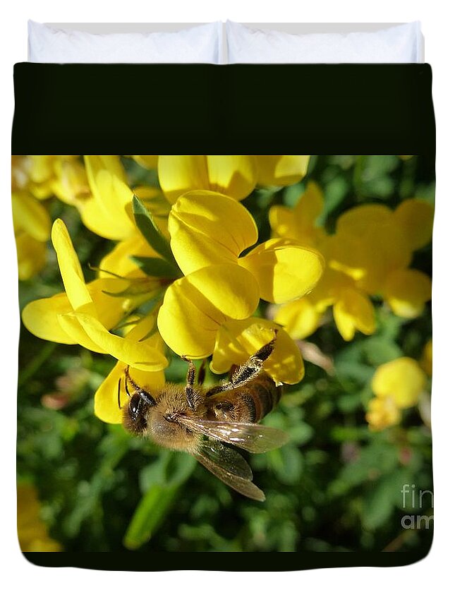 Beautiful Duvet Cover featuring the photograph Bee and Broom In Bloom by Jean Bernard Roussilhe