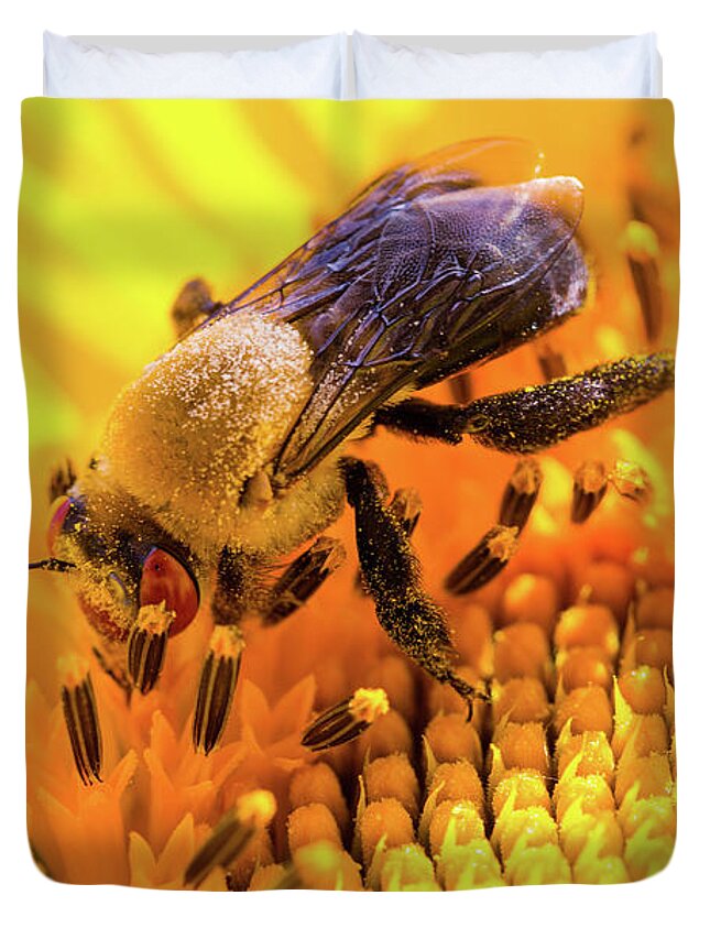 Antennae Duvet Cover featuring the photograph Bee and Sunflower by SR Green