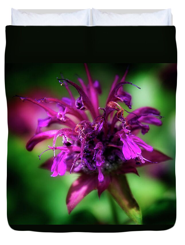 Purple Duvet Cover featuring the photograph Bee Balm Beauty by Greg and Chrystal Mimbs