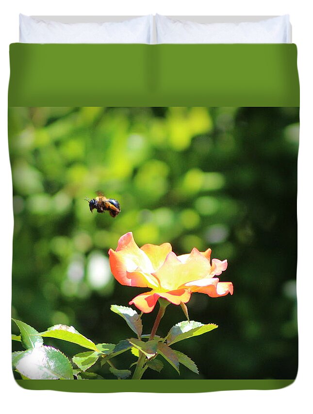 Honey Bee Duvet Cover featuring the photograph Bee Flying from Peach Petal Rose by Colleen Cornelius
