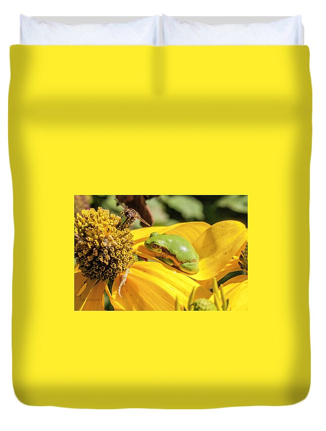  Duvet Cover featuring the photograph Bee Frog Spider.... by Paul Vitko