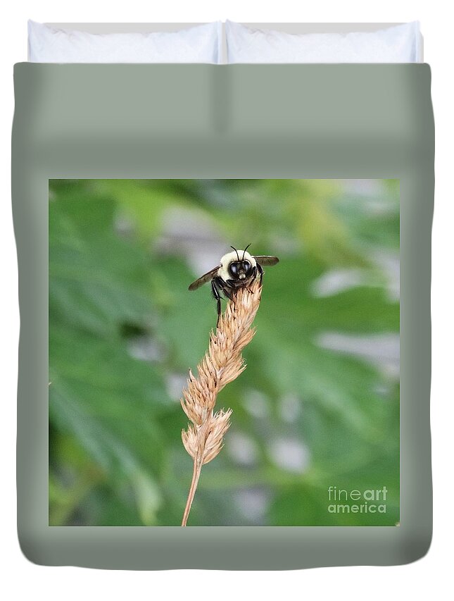 Insect Duvet Cover featuring the photograph Bee-have by J L Zarek