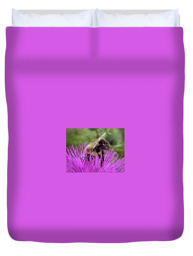 Bee Duvet Cover featuring the photograph Bee on a Thistle by Nancy Griswold