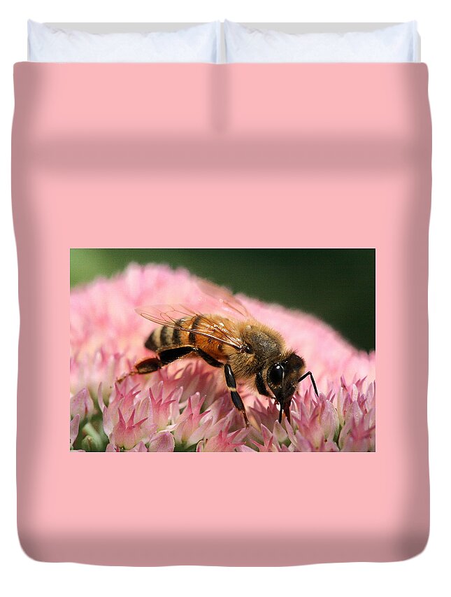 Bee Duvet Cover featuring the photograph Bee on Flower 6 by Angela Rath