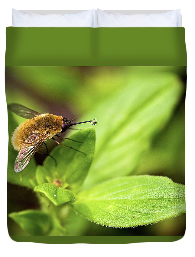 Beefly Duvet Cover featuring the photograph Beefly by Christopher Holmes