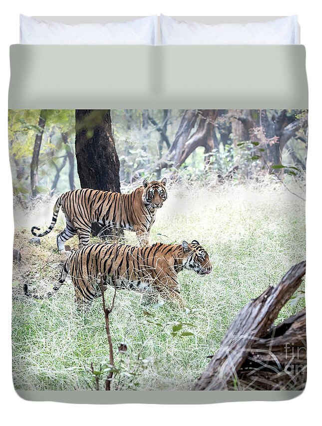 Tigers Duvet Cover featuring the digital art Begging attention by Pravine Chester