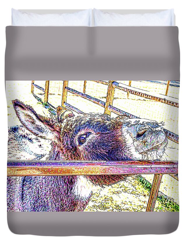 Donkey Duvet Cover featuring the photograph Begging For Attention by Jennifer Grossnickle