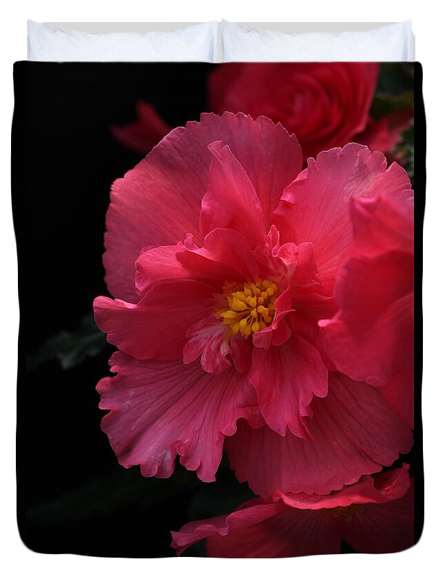 Flower Duvet Cover featuring the photograph Begonia by Tammy Pool