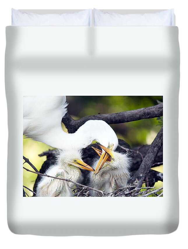 Wildlife Duvet Cover featuring the photograph Being A Mom Is Tough by Kenneth Albin