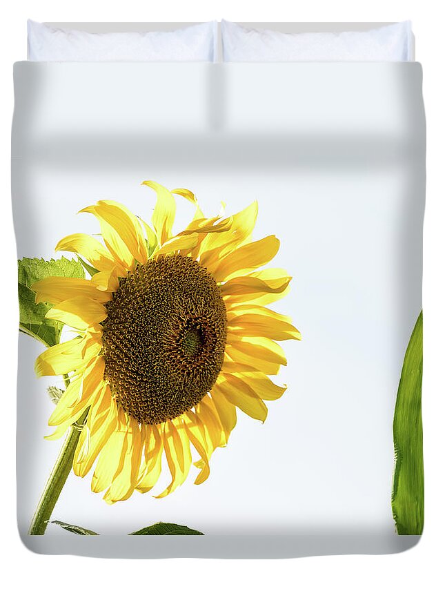 Corn Leaves Duvet Cover featuring the photograph Being Neighborly - by Julie Weber