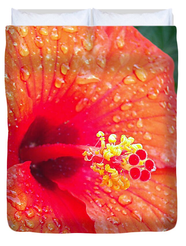 Hibiscus Duvet Cover featuring the photograph Bejeweled Hibiscus by Adam Johnson