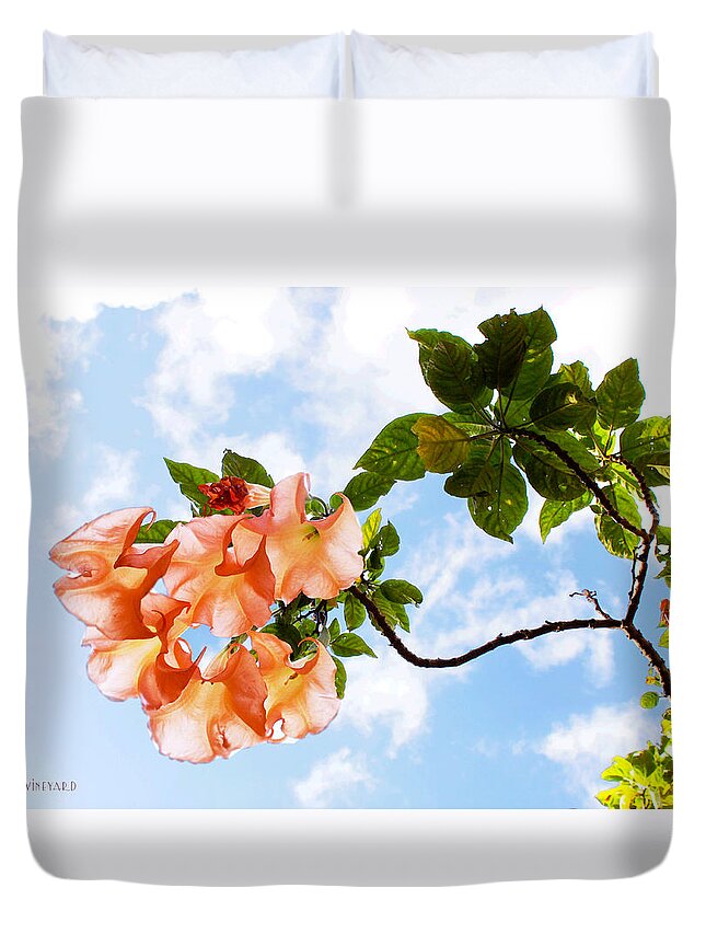 Susan Vineyard Duvet Cover featuring the photograph Bell Flowers in the Sky by Susan Vineyard