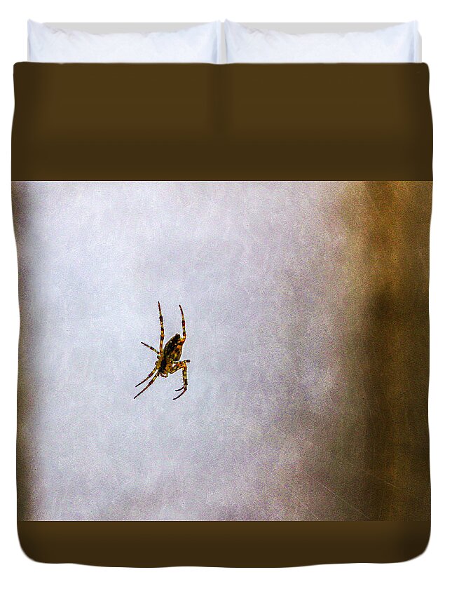 Bonnie Follett Duvet Cover featuring the photograph Belly of the spider by Bonnie Follett