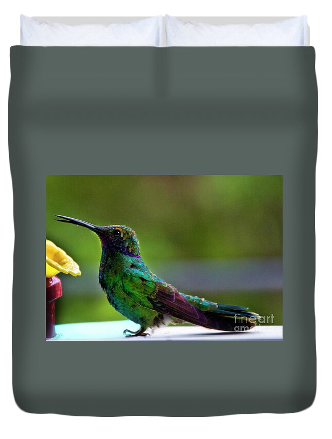 Belly Duvet Cover featuring the photograph Belly Up To The Bar by Al Bourassa