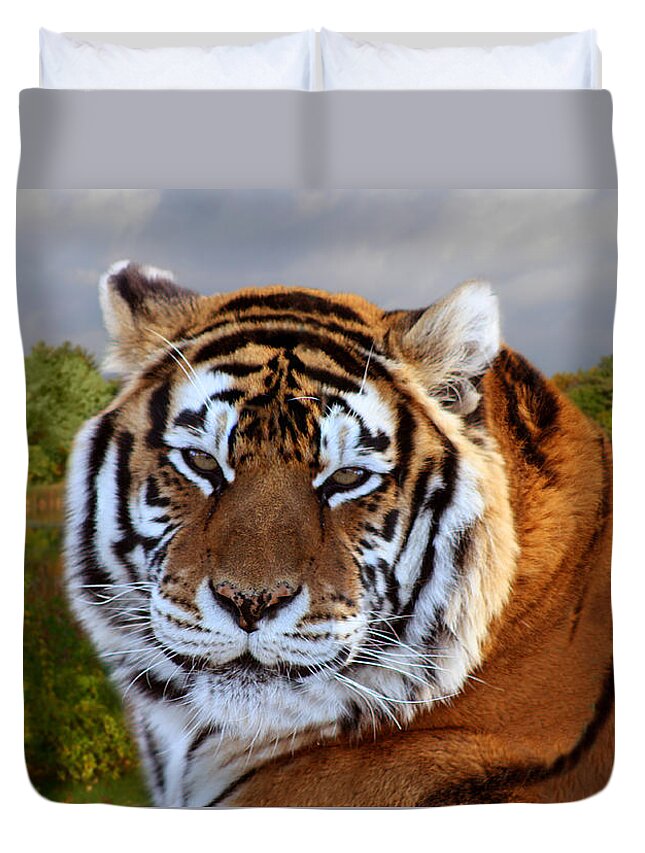 Bengal Tiger Duvet Cover featuring the photograph Bengal Tiger Portrait by Michele A Loftus