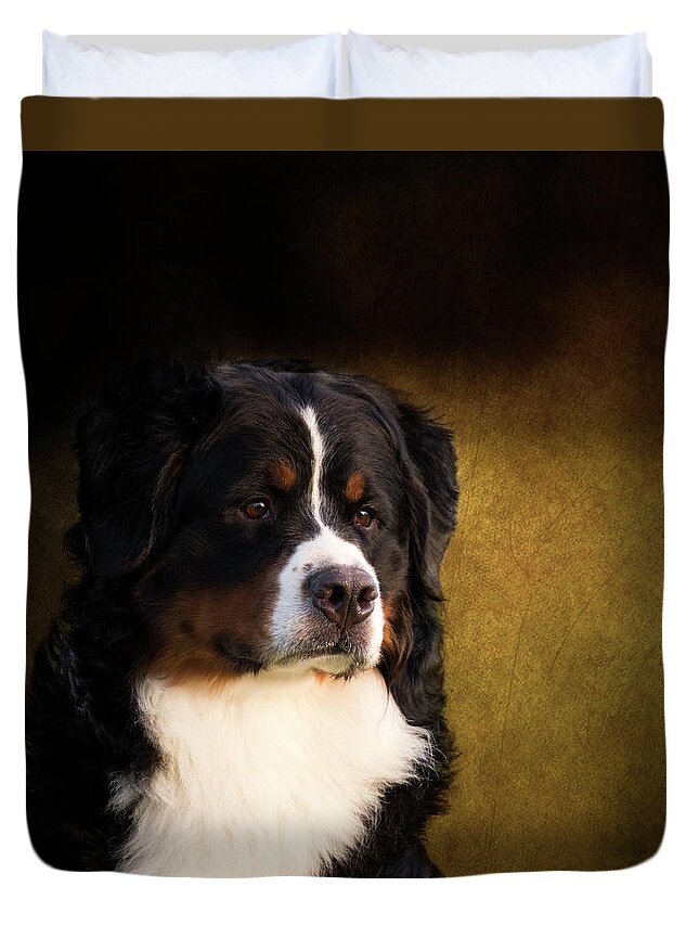 Bernese Duvet Cover featuring the photograph Bernese Mountain Dog by Diana Andersen