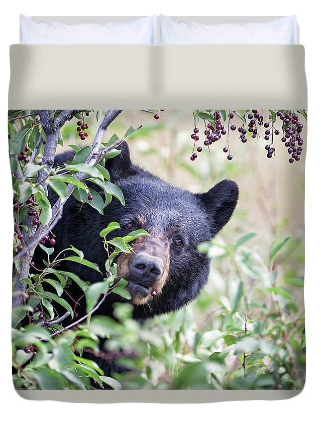 Black Bear Duvet Cover featuring the photograph Berry Picking by Eilish Palmer