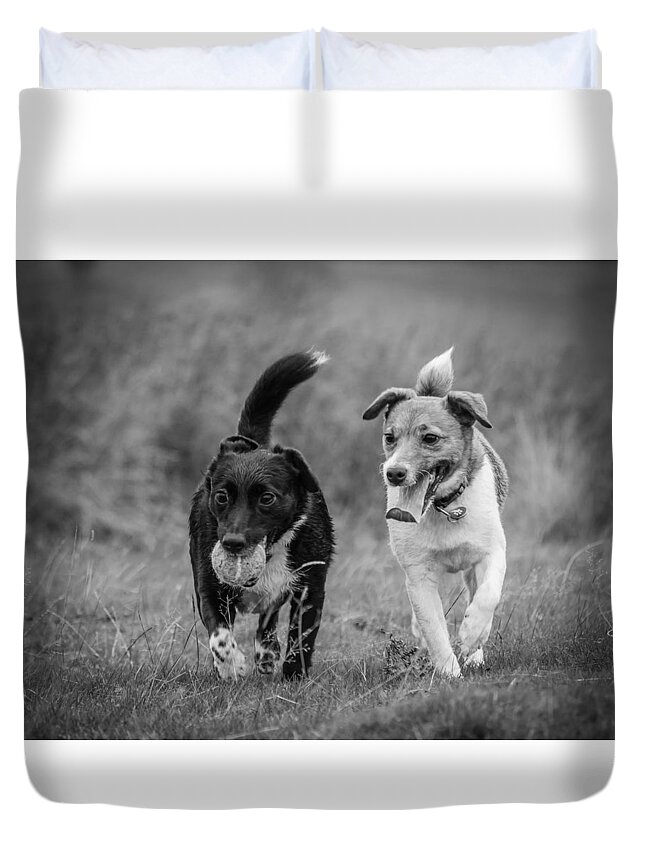 Dog Duvet Cover featuring the photograph Best Buddies by Nick Bywater