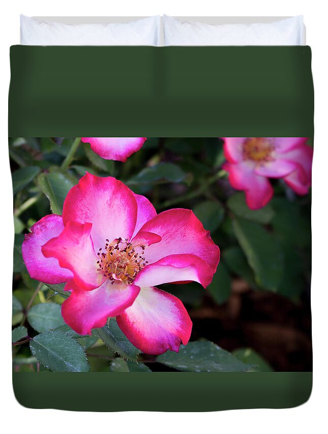Close-up Duvet Cover featuring the photograph Betty Boop Roses by K Bradley Washburn