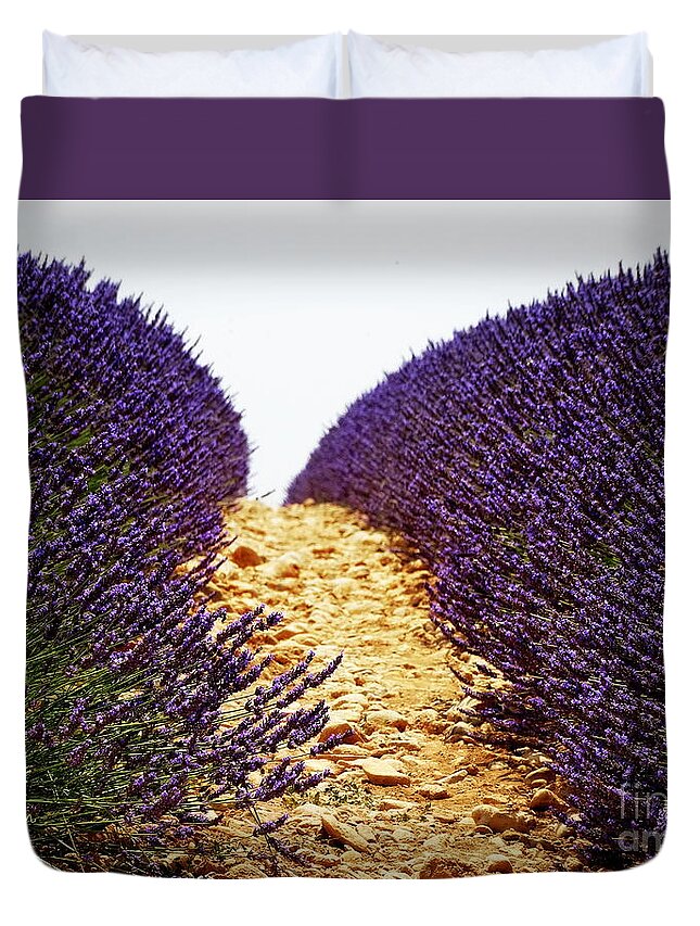 Lavender Duvet Cover featuring the photograph Between the Purple by Lainie Wrightson